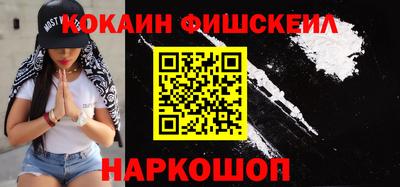 индика Можга