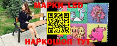 индика Можга