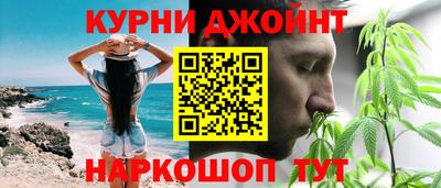 индика Можга