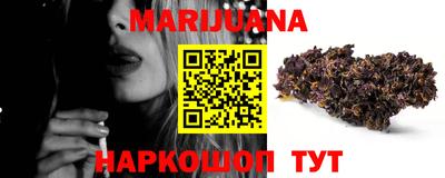 индика Можга