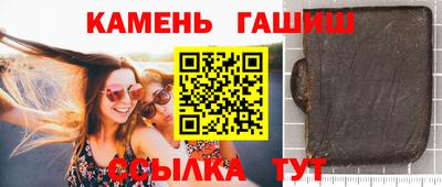 индика Можга