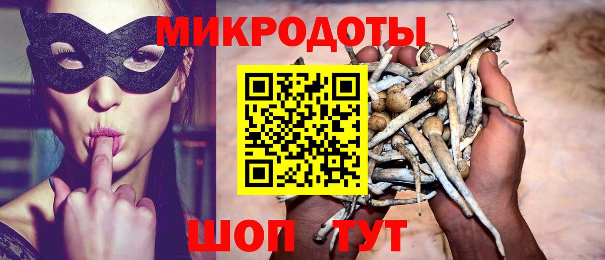 Галлюциногенные грибы Psilocybine cubensis  Вход с VPN  Волжск  Псилоцибиновые грибы Psilocybine cubensis 
